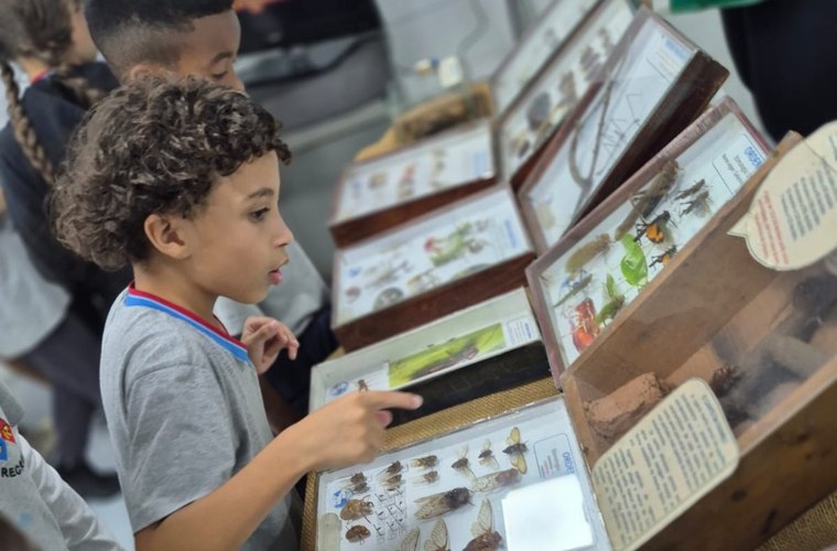 Alunos observando insetos e fósseis com acompanhamento